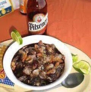 Meet your Posher, Rafael